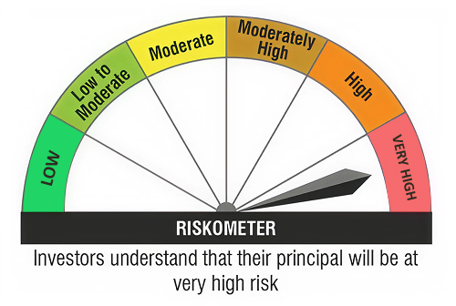 Investor understand that their principal will be at very high risk